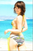 Rei Okamoto swimsuit bikini image052