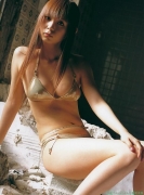 Shoko Nakagawa swimsuit image summary 72016
