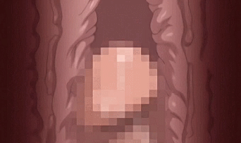 膣内断面付き！マンコをガンガン突かれて子宮にどっぷり中出しされるエロアニメGIF画像8