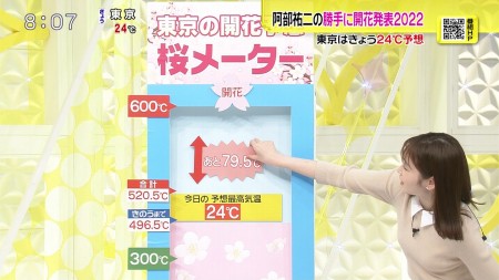 岩田絵里奈アナの画像007